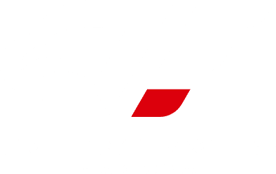 FIGHTING EAGLES NAGOYA ロゴ