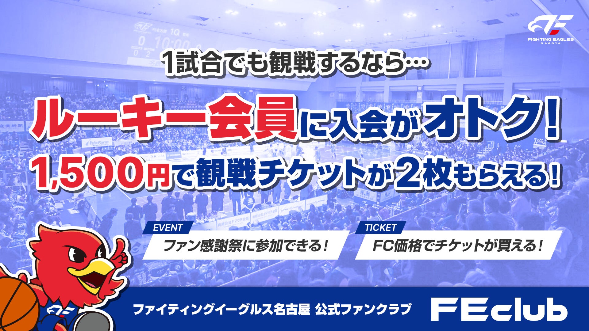 ルーキー会員